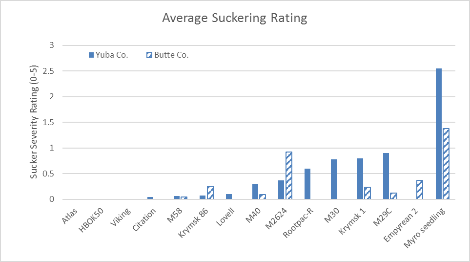 Comparison of average sucker rating per rootstock for the Butte and Yuba County experiments. Suckers were rated 0 to 5, with 5 as most severe.