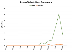 2019 NOW Trap Data - Tehama Co. Walnut