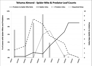 2019 Spider mite & Predator Leaf Count Data - Tehama Co. Almond