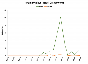 2019 NOW Trap Data - Tehama Co. Walnut