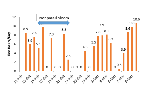 Figure 2. Daily “bee hours” at Nickels Soil Lab, Arbuckle, CA (Colusa County). 2017. A “bee hour” is an hour in during which temperatures are above 55oF, winds are less than 15 mph and it is not raining.