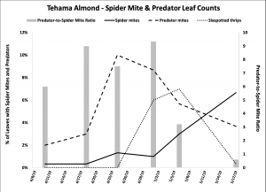 2019 Spider mite & Predator Leaf Count Data - Tehama Co. Almond
