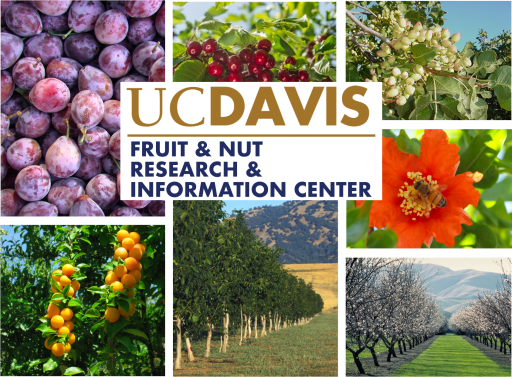 2023 Principles of Fruit & Nut Tree Growth, Cropping & Management