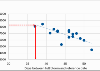 Higher Growing Degree Hours in the first 30 days following full bloom result in faster (fewer days) of fruit growth measured by days between full bloom and reference date. Sutter County GDH30 in 2026 should mean about 37 days from full bloom to reference date, a relatively short time compared to 45-50 days full bloom to reference date for cooler springs with GDH30 of 6000-7000.