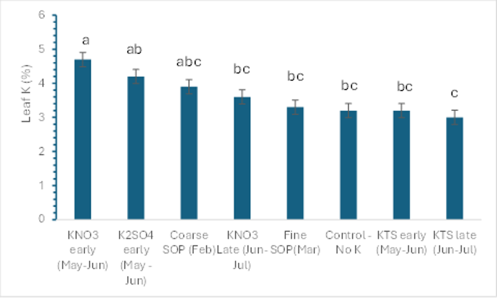 July leaf potassium was measured on prune trees treated with seven different treatments of soil-applied potassium, as well as an untreated control. KNO3 early (May-June), and K2SO4 early (May-June) resulted in higher leaf potassium levels compared to KTS late (Jun-July), with the remaining treatments (Corse SOP, KNO3-late: June-July, Fine SOP, Control: No K, and KTS early: May-June) falling in-between.