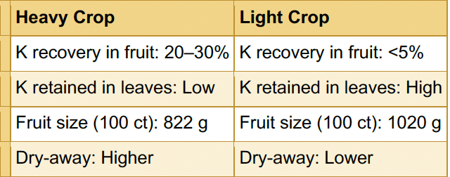 Potassium recovery in heavy fruiting crop was 20-30%, leaves retained low amounts of potassium, fruit size per 100 count was 822g, and had higher dry-away. Potassium recovery in low fruiting crop was less than 5%, leaves retained high amounts of potassium, fruit size per 100 count was 1020g, and had lower dry-away.